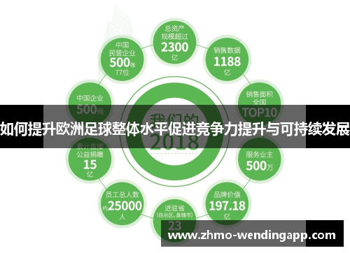 如何提升欧洲足球整体水平促进竞争力提升与可持续发展