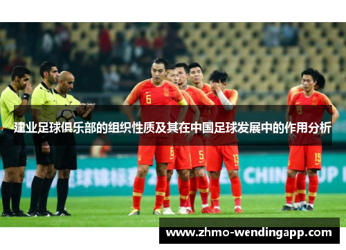 建业足球俱乐部的组织性质及其在中国足球发展中的作用分析