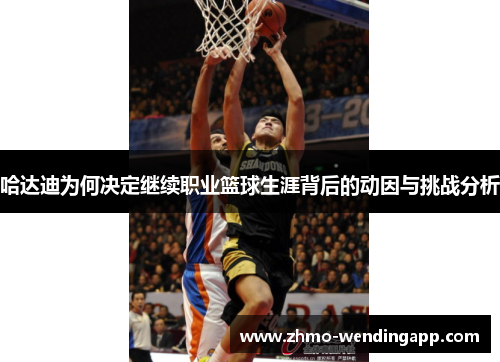 哈达迪为何决定继续职业篮球生涯背后的动因与挑战分析