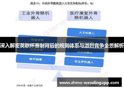 深入解密英联杯赛制背后的规则体系与激烈竞争全景解析