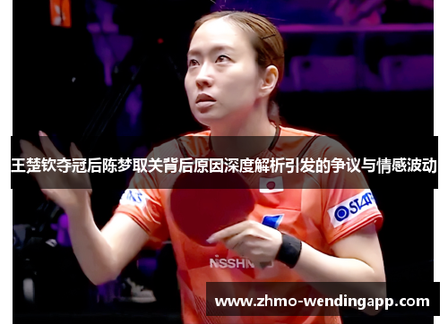 王楚钦夺冠后陈梦取关背后原因深度解析引发的争议与情感波动
