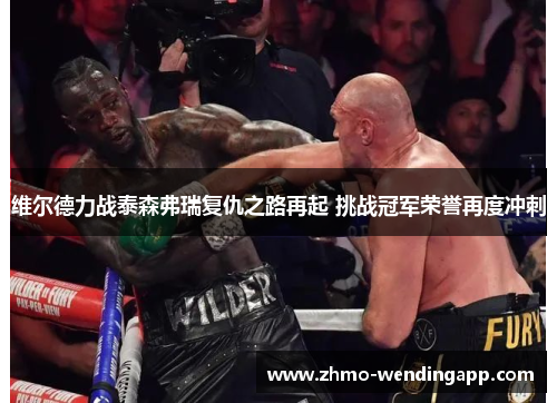 维尔德力战泰森弗瑞复仇之路再起 挑战冠军荣誉再度冲刺 维尔德力战泰森弗瑞复仇之路再起 挑战冠军荣誉再度冲刺
