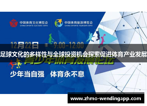 足球文化的多样性与全球投资机会探索促进体育产业发展