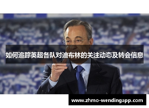 如何追踪英超各队对迪布林的关注动态及转会信息