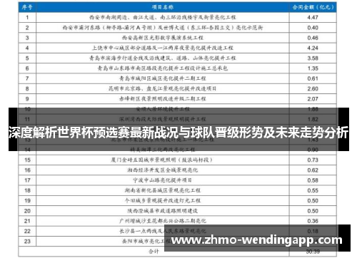 深度解析世界杯预选赛最新战况与球队晋级形势及未来走势分析
