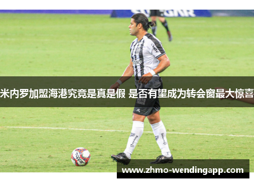 米内罗加盟海港究竟是真是假 是否有望成为转会窗最大惊喜