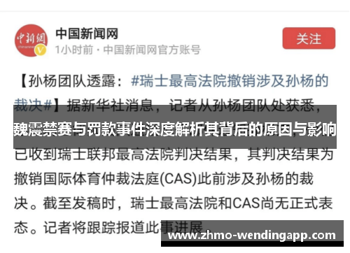 魏震禁赛与罚款事件深度解析其背后的原因与影响