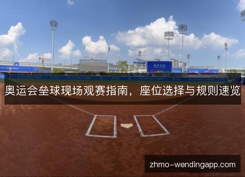 奥运会垒球现场观赛指南，座位选择与规则速览