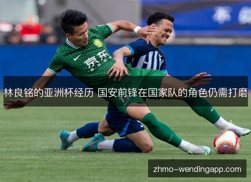 林良铭的亚洲杯经历 国安前锋在国家队的角色仍需打磨 林良铭的亚洲杯经历 国安前锋在国家队的角色仍需打磨